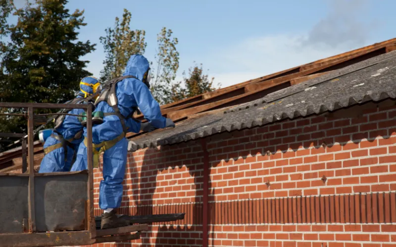 Asbestos removal
