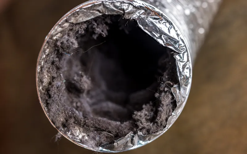 Dryer vent cleaning