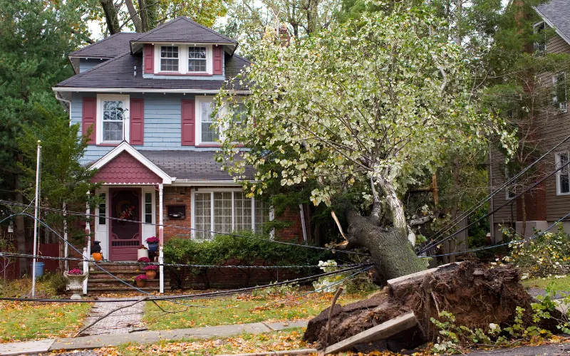 Storm damage